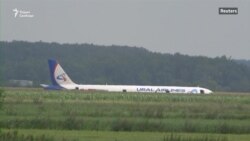 Чайки и свалки в районе Жуковского Чайки и свалки в районе Жуковского