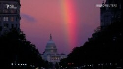 Демократи повернули контроль над Палатою представників США – відео Демократи повернули контроль над Палатою представників США – відео