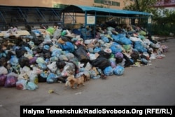 Сміттєвий колапс у Львові, травень 2017 року