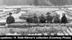 Депортированные в июне 1941 года украинцы и эстонцы сплавляют лес в Кировской области