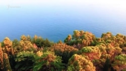 Крымский особняк Ахметова – с высоты птичьего полета (видео) Крымский особняк Ахметова – с высоты птичьего полета (видео)