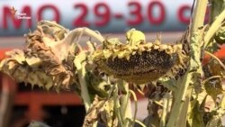 Иловайская трагедия: в Киеве почтили память погибших бойцов (видео) Иловайская трагедия: в Киеве почтили память погибших бойцов (видео)