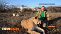 Чому кримська влада закриває «Тайган»? Чому кримська влада закриває «Тайган»?