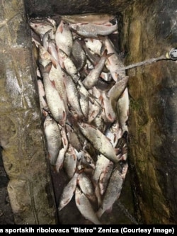 Dio izvađene uginule ribe iz Bosne, Zenica, Vranduk, 14. juli.