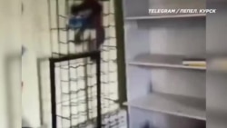 Ситуация в Курской области  Ситуация в Курской области