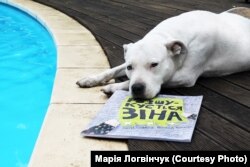 Зіні подобається втікати з дому. Їі їсторію описали у книжці "Розшукується Зіна"