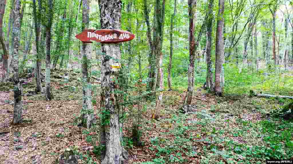 Указатель к Почтовому дубу – местной достопримечательности, в которой туристы оставляют записки с различными просьбами