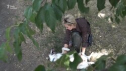 Історії трьох людей, що взяли собаку з вулиці – відео Історії трьох людей, що взяли собаку з вулиці – відео