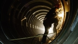 Экономическая среда: кризис "L" Экономическая среда: кризис "L"