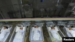 Зоишгоҳи шаҳри Ҳефеи вилояти Анҳой