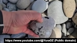 Камни с мазутом, найденные российским блогером Юрием Озаровским на пляже в Орджоникидзе (Кайгадоре) в апреле 2025 года