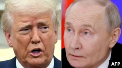Дональд Трамп и Владимир Путин