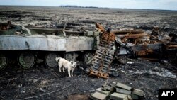 Поблизу Нікішина, 6 квітня 2015 року