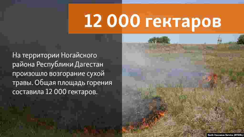 28.05.2018 // В воскресенье, 27 мая, на территории Ногайского района Республики Дагестан произошло возгорание сухой травы на пастбищах отгонного животноводства.