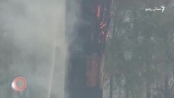 د ډېسېمبر دویمې ویډیويي خبرونه د ډېسېمبر دویمې ویډیويي خبرونه