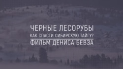 Хранители Сибири: Черные лесорубы. Как спасти сибирскую тайгу? Хранители Сибири: Черные лесорубы. Как спасти сибирскую тайгу?
