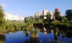 Озеро Качине. Фото із фейсбук-групи «Озеро Качине/ Озеро Утиное»