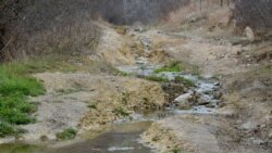 Вода из ручья непригодна для питья