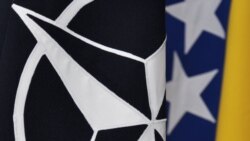 veinović: 'Same reforme i reformski program, to je u stvari MAP, to je trasiranje puta za pristupanje u NATO savez'