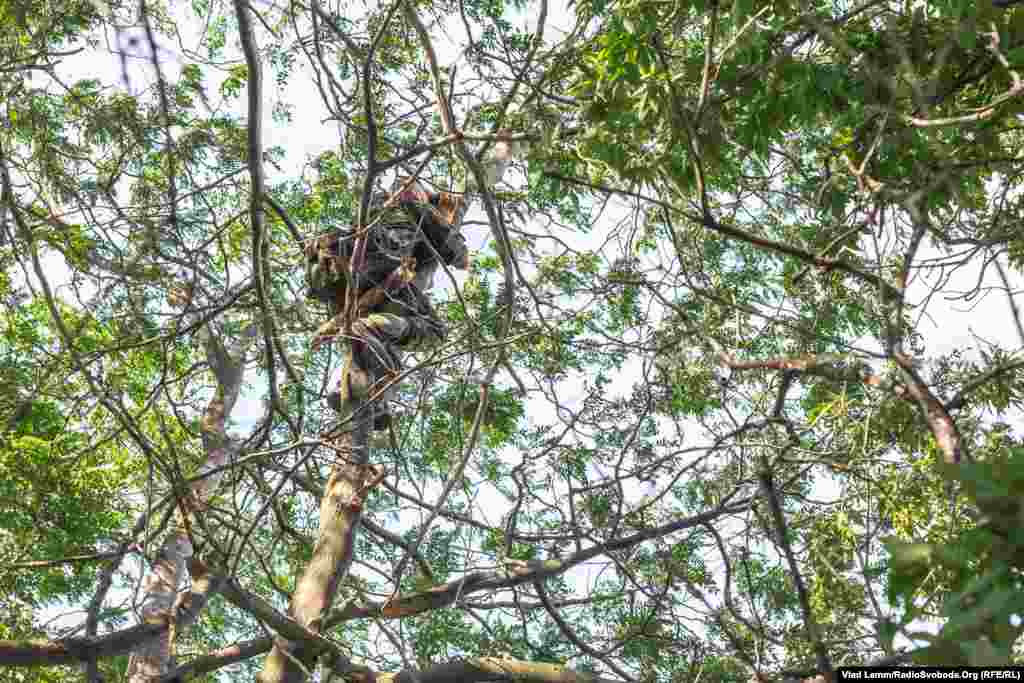 Боєць «Дніпра-1» спостерігає за позиціями бойовиків