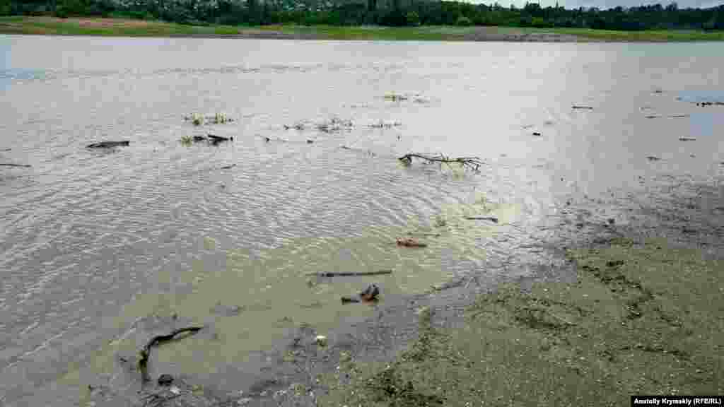 На пути к водохранилищу по Добровской долине Салгир «подбирает» весь мусор