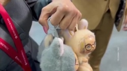 Первый день ПМЭФ Первый день ПМЭФ