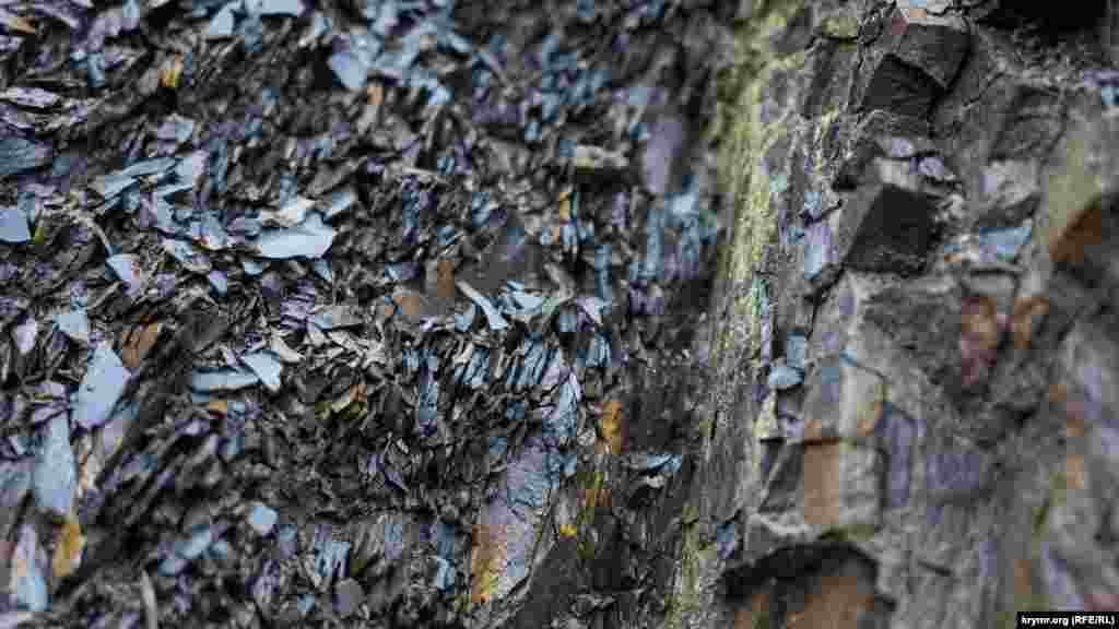 Аргиллит – особый вид осадочной горной породы, представляющий собой окаменевшую глину, которая за несколько миллионов лет под воздействием давления поверхностного грунта и высоких температур приобрела невероятную твердость и прочность