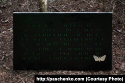 «Сто доларів», Тарас Пащенко