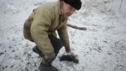 Жителів Авдіївки й далі обстрілюють (відео) Жителів Авдіївки й далі обстрілюють (відео)