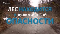 Как Крым превращают в свалку (видео) Как Крым превращают в свалку (видео)