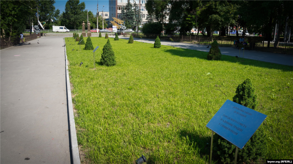 На самой аллее высадили полтора десятка «именных» хвойных деревьев неизвестной породы. В местных изданиях их называли «канадскими елями»