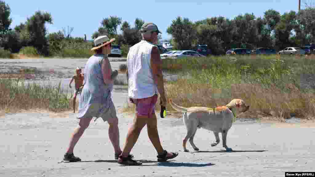 На отдых – с четырехлапым другом