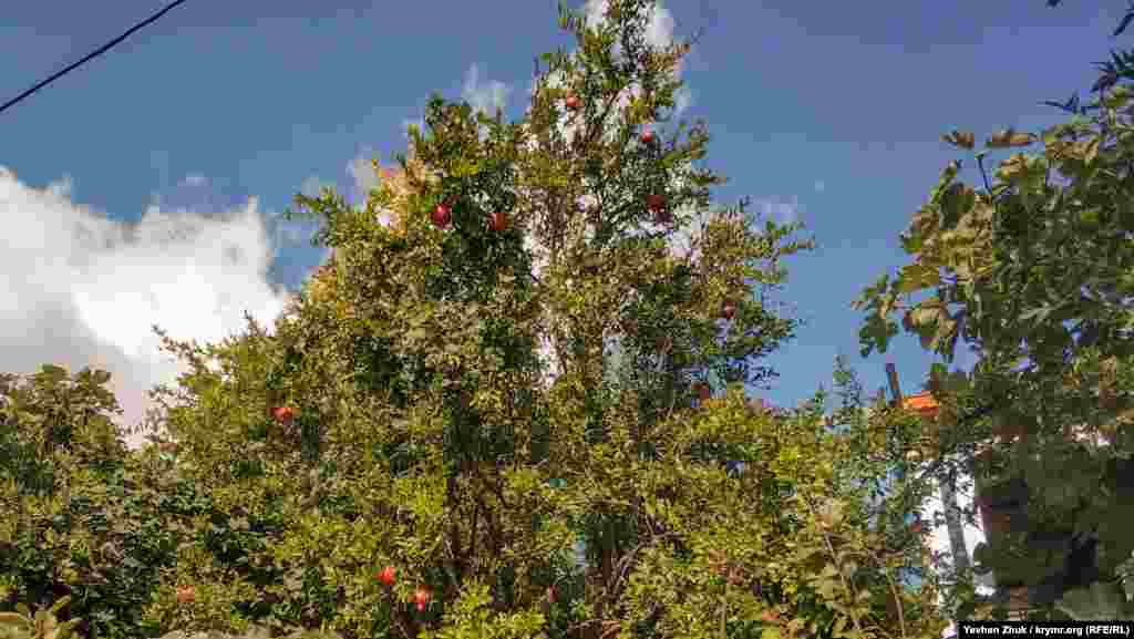 На багатьох подвір'ях стигнуть гранати 