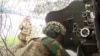 Українські артилеристи поблизу кордону з Росією. Кінець травня, 2025 року