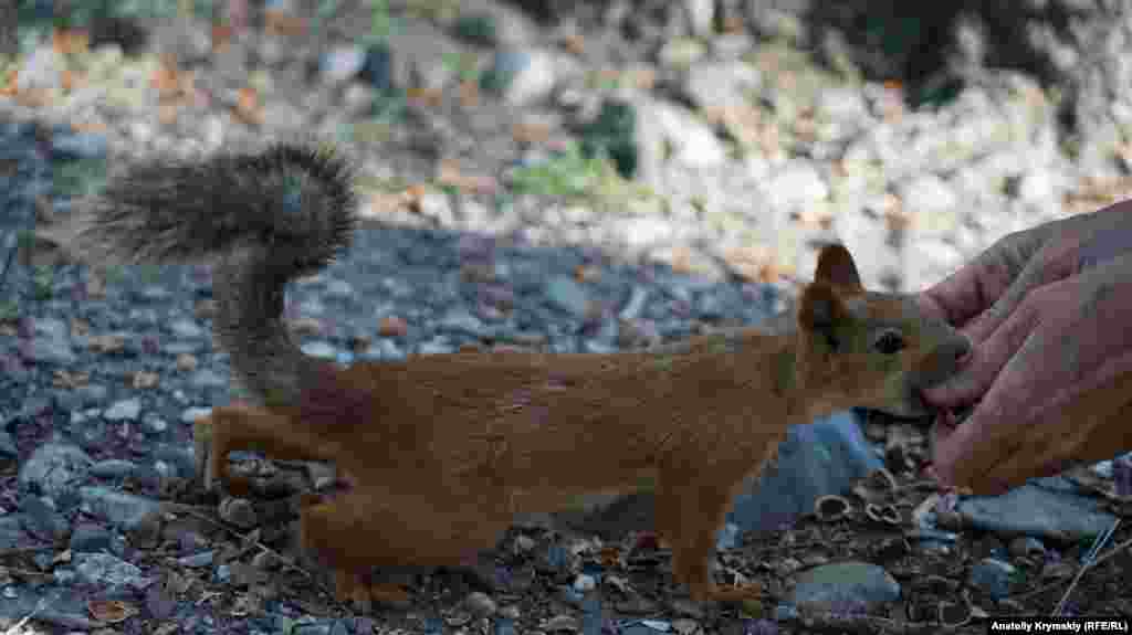 «Не бойся – больно не укушу»