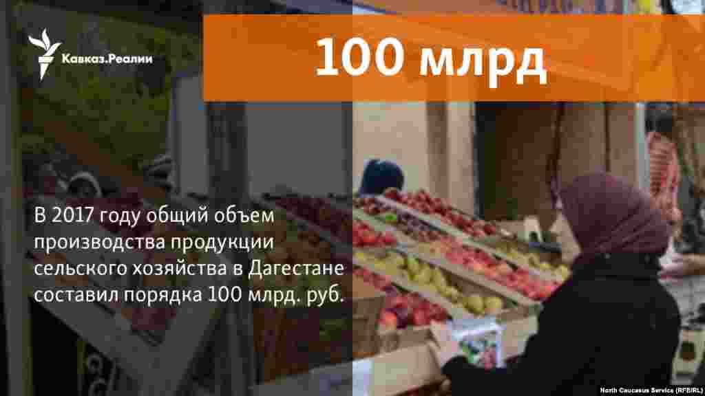 20.11.2017 // На 100 миллиардов рублей сельхозпродукции произведено в Дагестане с начала года.    
