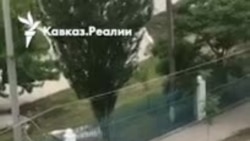 В Дагестане сотрудники полиции пытались застрелить корову В Дагестане сотрудники полиции пытались застрелить корову