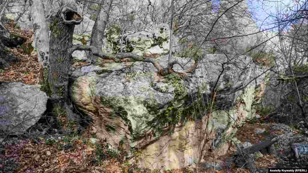 Скамейка под скальным фрагментом у тропы «Чертовая лестница»