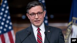 U.S. House Speaker Mike Johnson (file photo)