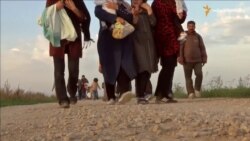 Угорський кордон закрили, біженці прямують у Хорватію Угорський кордон закрили, біженці прямують у Хорватію