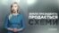 Земля президента Порошенка: на продаж («Схеми» | Випуск №126)