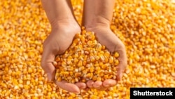 Наразі підозрюваного оголошено в розшук