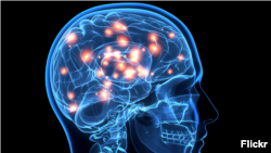 Ілюстраційне зображення