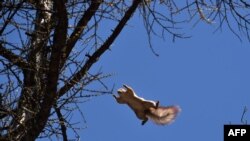 Грудень продовжує встановлювати температурні рекорди