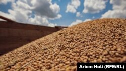 Иллюстрационное фото