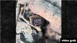 Шеврон найманця «Я ни во что не верю, я здесь ради насилия»