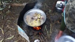 د مصریو کوچیانو ژوند ژواک څنګه دی؟ د مصریو کوچیانو ژوند ژواک څنګه دی؟