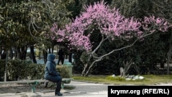 Ялта, 1 апреля 2020 год