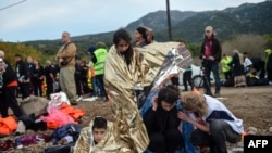 Мигранты, добравшиеся до острова Лесбос через Эгейское море, 24 ноября 2015 года