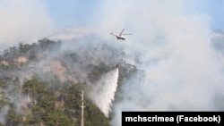 Иллюстрационное фото